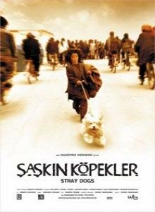 Бродячие собаки (2004)